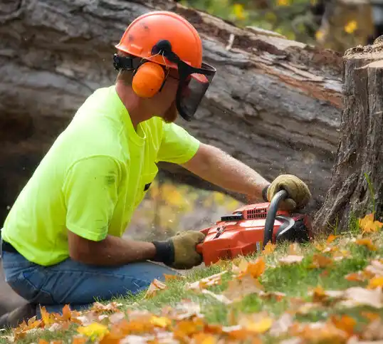 tree services Hope Mills